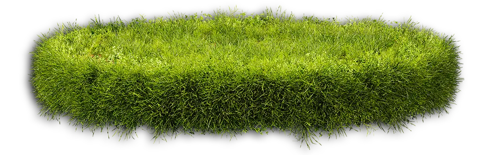 Grasfläche